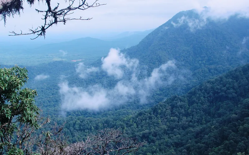 Cloud drifting over the rainforest ridges of the Ghats at Agumbe