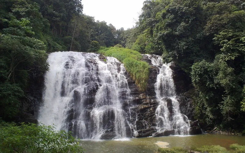 Abbey Falls dropping through the rainforest near Madikeri, Coorg