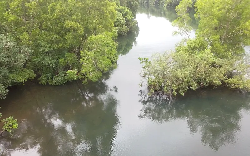 The Kali river winding through dense forest at Dandeli