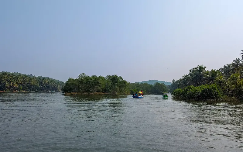 Boats on the Sharavathi backwaters between wooded islands at Honnavar