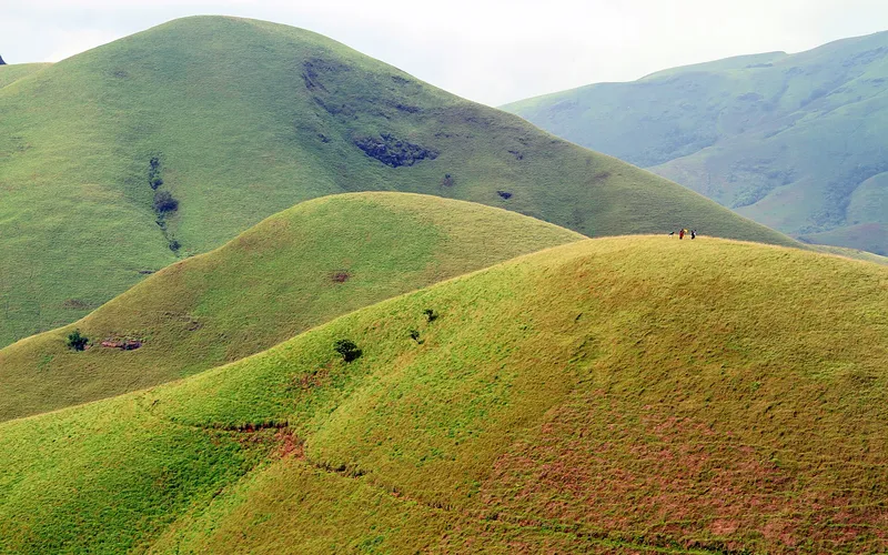 The green rolling ridges of Kudremukh above Kalasa