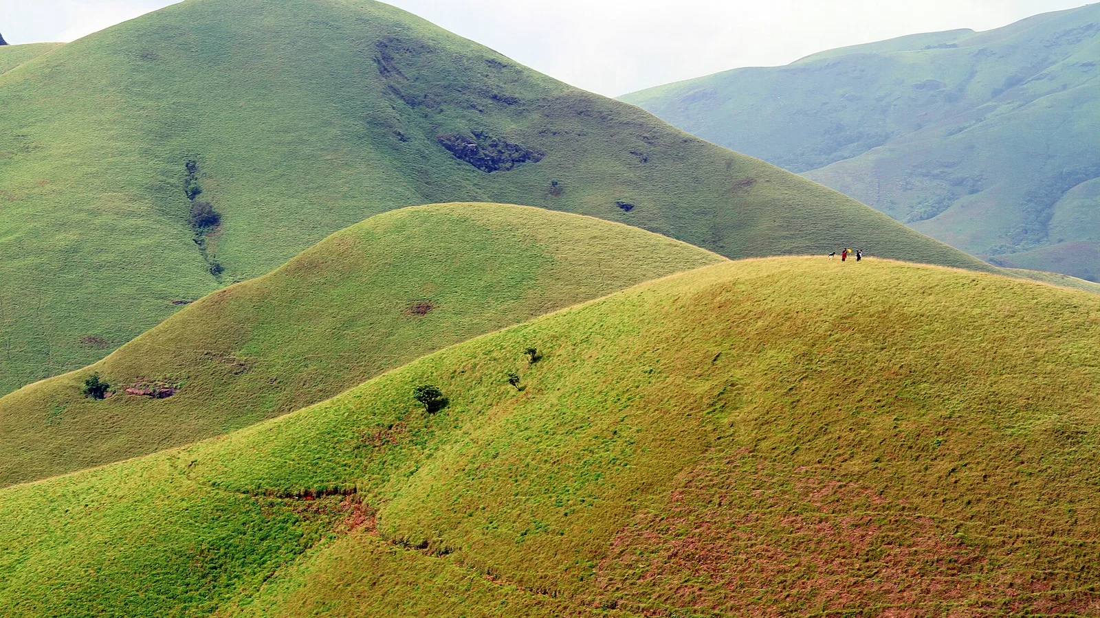 The green rolling ridges of Kudremukh above Kalasa