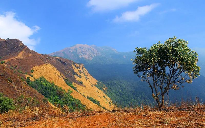 The ridge line of Kodachadri under a blue sky