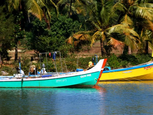 Two painted boats moored on the green backwater at Mulki
