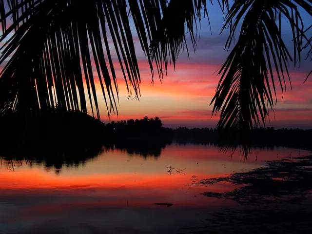 Palm fronds silhouetted against a red sunset over the Mulki river