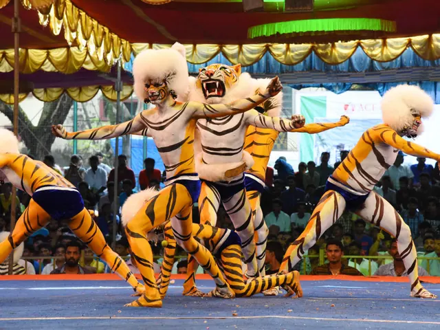 Huli vesha dancers in tiger paint mid-leap