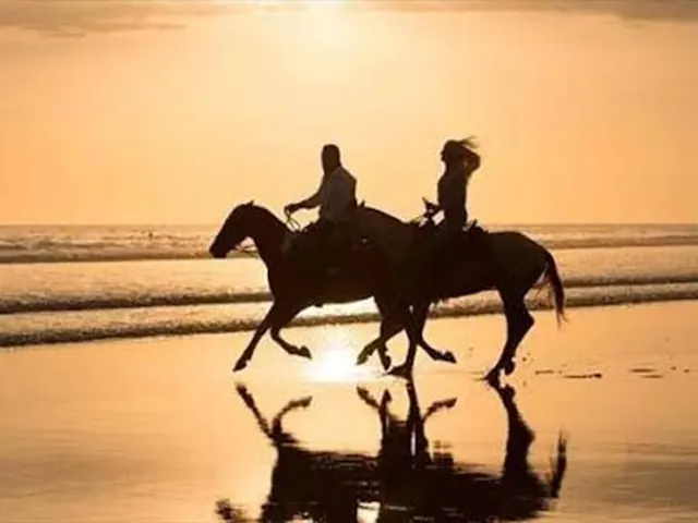 Two horses cantering along wet sand in silhouette against a gold sky