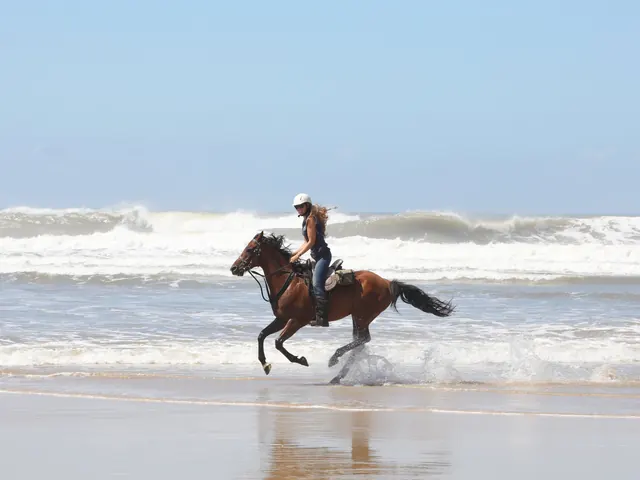 A rider galloping through shallow water, spray thrown up behind the horse